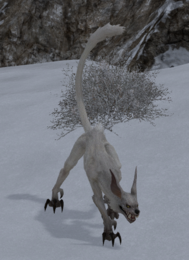 Snow Wolf.png