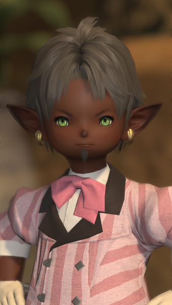 File:Tournament Registrar 1.png