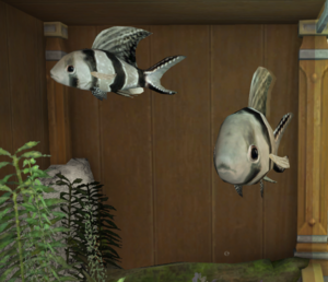 Wimple Carp tank angle.png