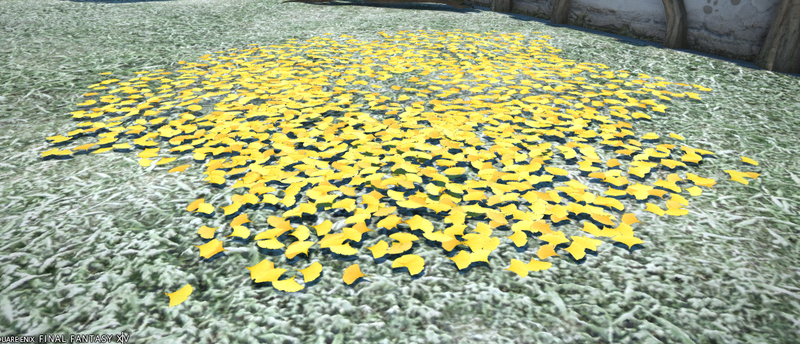 File:Ginkgo Leaf Pile.png