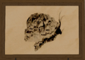 Thumbnail for version as of 05:46, 31 May 2026