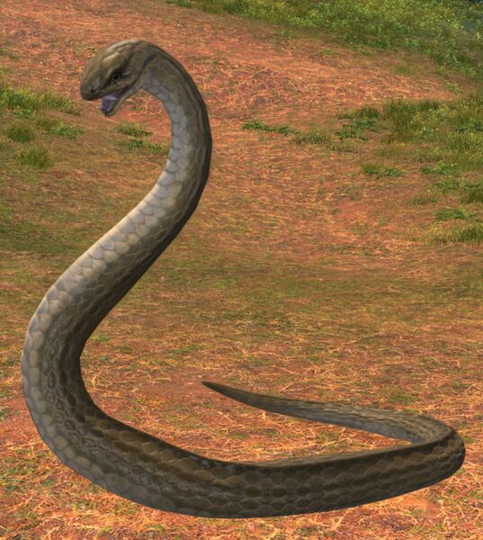 File:Poisonous Bhujamga.jpg