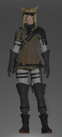 Augmented Shire Armor