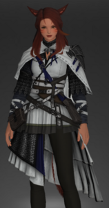 Neo Kingdom Tabard of Fending front.png