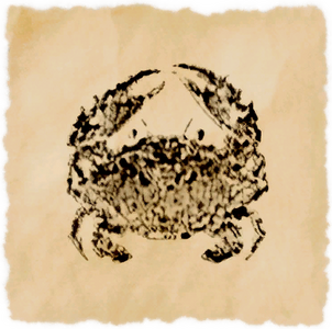 Pebble Crab
