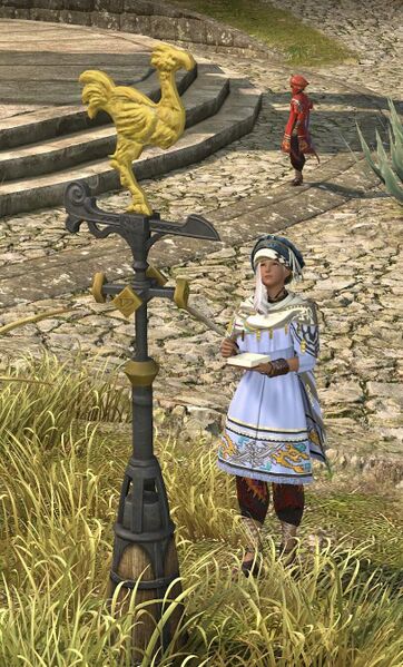 File:Skywatcher (Urqopacha).jpg