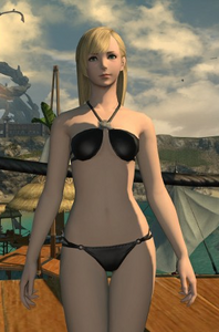 Black Summer Set Achievement Certificates