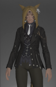 Appointed Jacket front.png