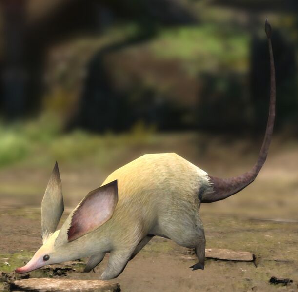 File:Dirty Rat.jpg