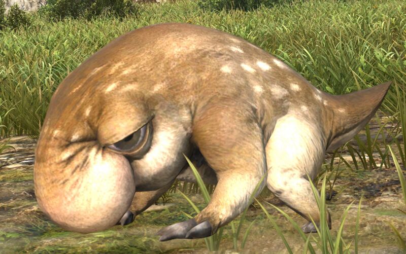 File:Rat Mole.jpg