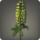Yellow lupins icon1.png