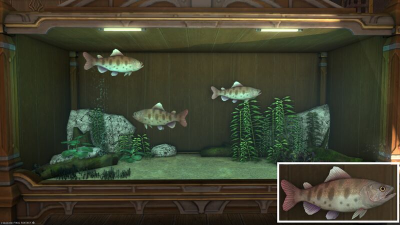 File:Aquarium Preview Crimson Trout.jpg