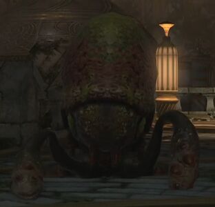 Arboretum Bifericeras