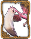 Colibri Card