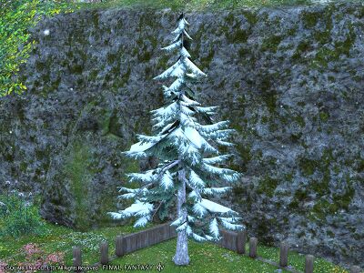 Deluxe snow-dusted tree img1.jpg