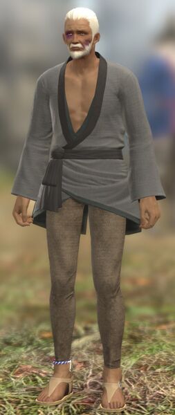 File:Wounded Elder fullbody.jpg