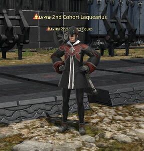 2nd Cohort Laquearius