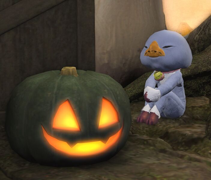File:Curious Costume (Chocobo) fullbody.jpg