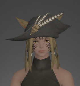 Hat of the Divine Light front.png