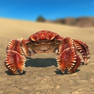 Megalocrab Glamoured