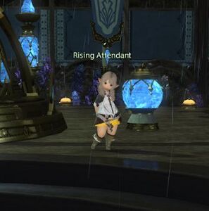 Rising Attendant (2024) (Gridania)