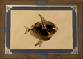 Thumbnail for version as of 05:44, 31 May 2026