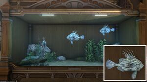 Three Forgotten Ones in a Tier 4 Aquarium with a close-up.