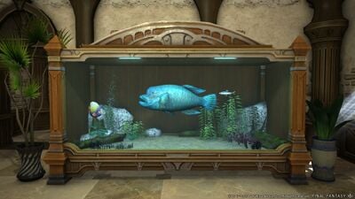 Aquariums Final Fantasy Xiv A Realm Reborn Wiki Ffxiv Ff14 Arr Community Wiki And Guide