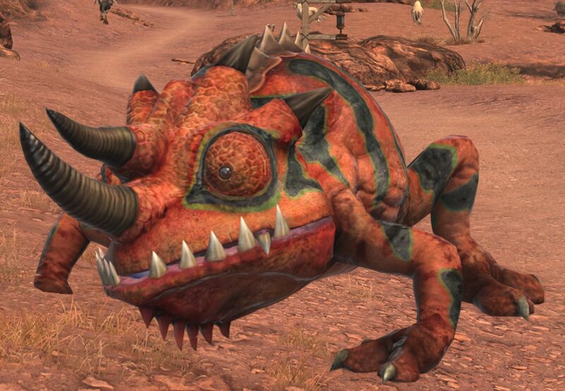 File:Dryland Iguana.jpg