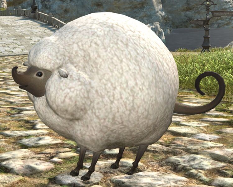File:Wild Ram.jpg