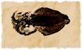 Thumbnail for version as of 11:56, 2 June 2026