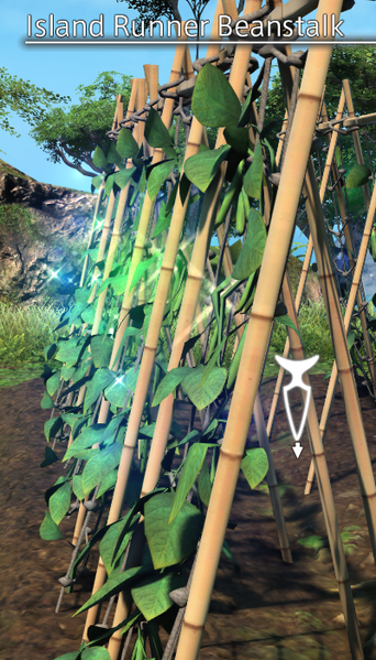 File:Island Runner Beanstalk Mature.png