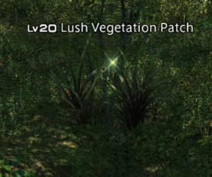 Lush vegetation patch.png