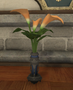 Orange Arums.png