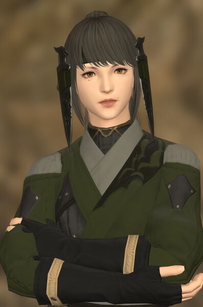 File:Sharp-eyed Samurai.jpg