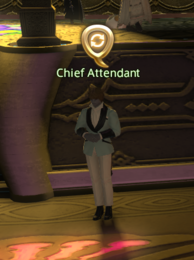 Chief Attendant1.png