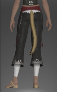 Trousers of the Lost Thief rear.png