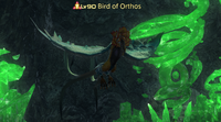 Bird of Orthos.png