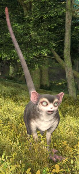File:Jackanapes's Bean-bearer.jpg