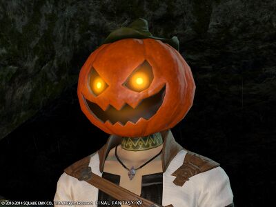 Ripened pumpkin head img1.jpg