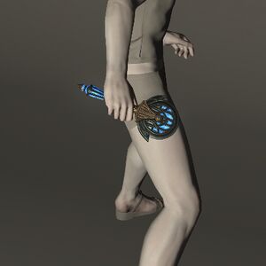 Vrandtic Visionary's Round Knife