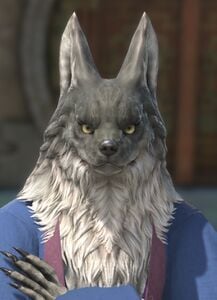 Hakuro Gunji