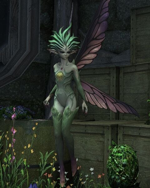 File:Pixie Meddler.jpg