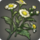 Possibly unclassified plant icon1.png
