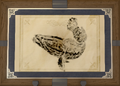 Thumbnail for version as of 15:56, 10 May 2026
