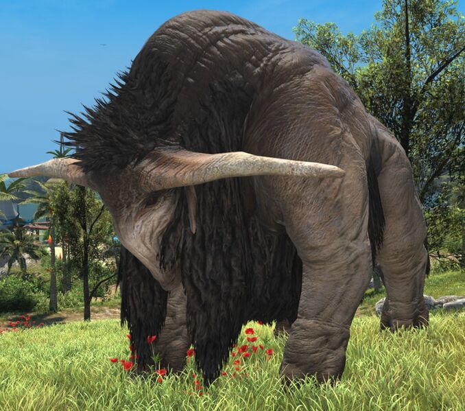File:Butting Buffalo.jpg
