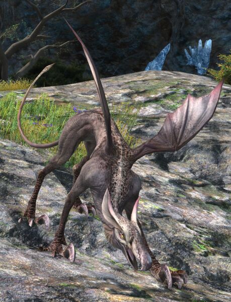 File:Hippogryph Pup.jpg