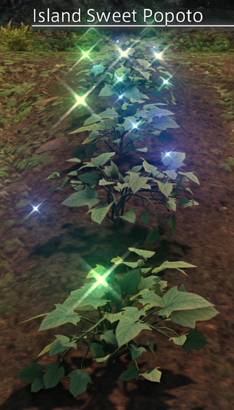 File:Island Sweet Popoto Mature.png