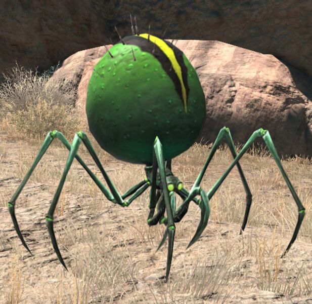 File:Daughter of Ankabut.jpg