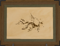 Thumbnail for version as of 19:16, 12 May 2026
